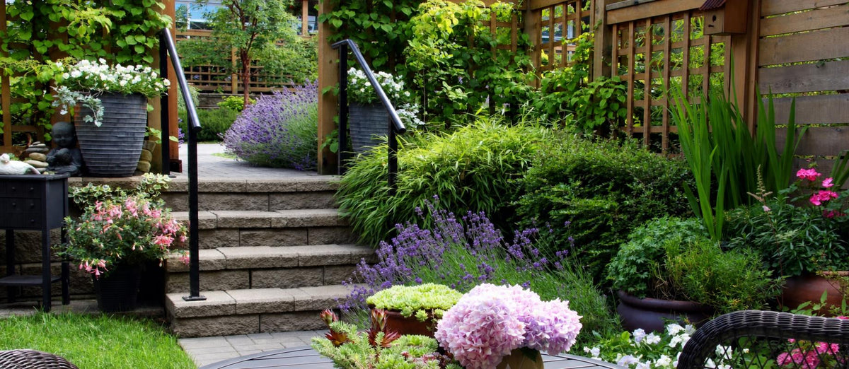 Top 10 Schnell wachsende Gartenpflanzen