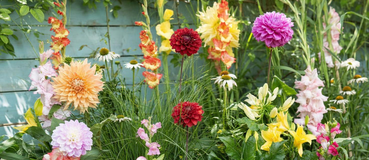 Die besten Blumenzwiebeln: Worauf sollte man achten?