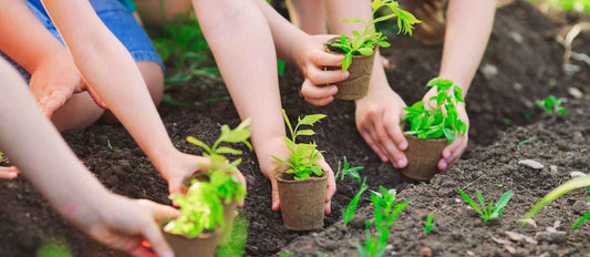 5 neue grüne Hobbys für Ihre Kinder