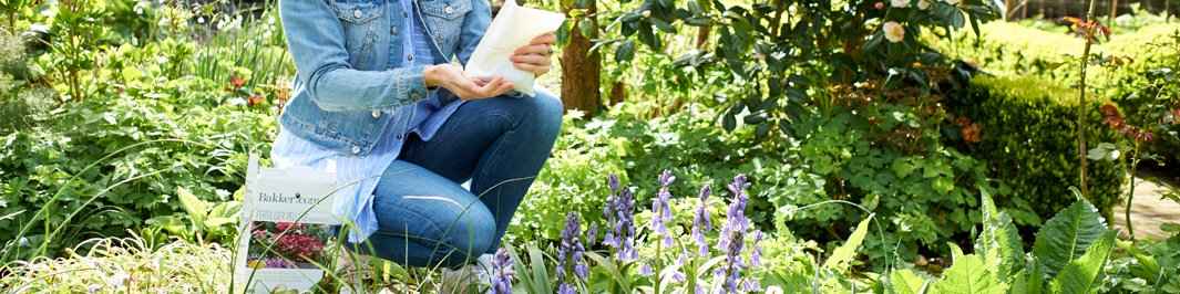 Dünger und Bodenverbesserer für den Garten