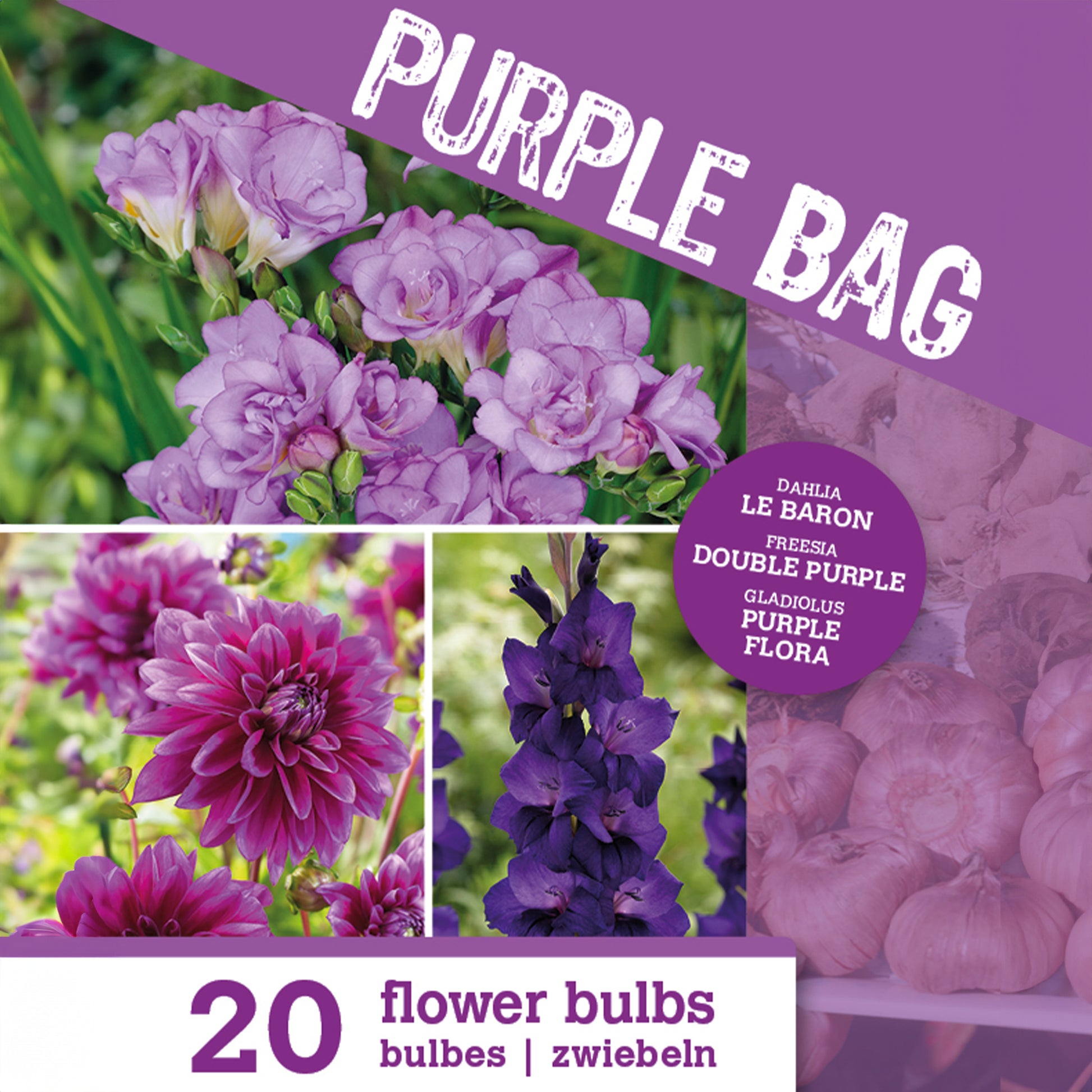 Zwiebelpaket für Beete - Blumenzwiebel Mischung 'The Purple Bag' (x20) - Dahlia, gladiolus, freesia