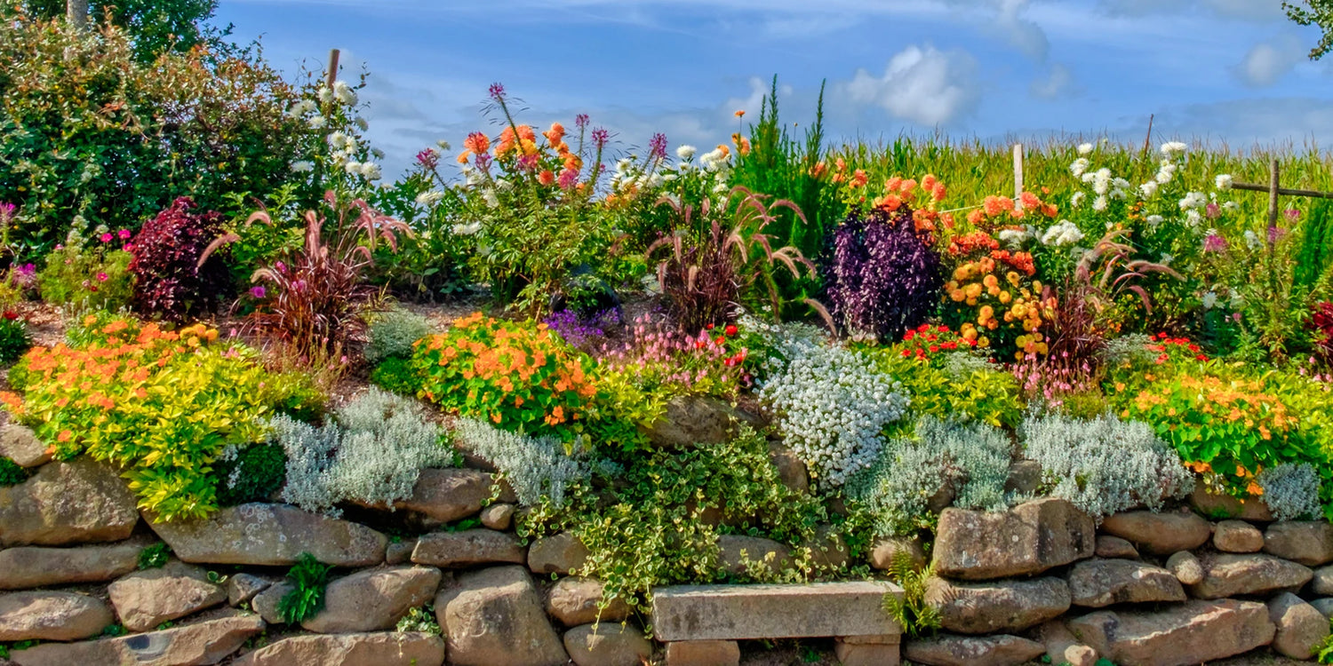 Green Days bis zu -50% Rabatt!