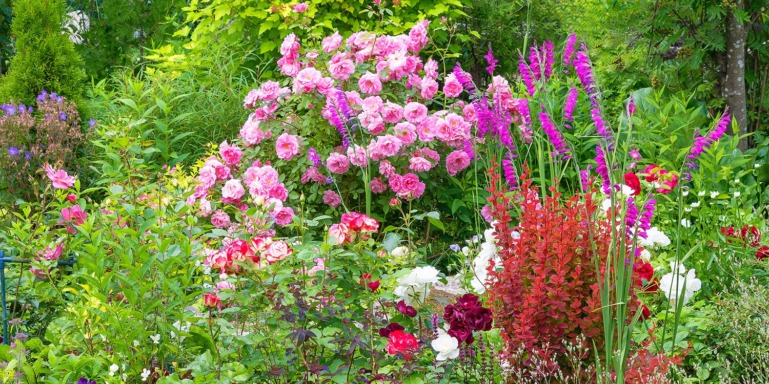 Wintersale mit bis zu 60 % Rabatt: Endspurt!