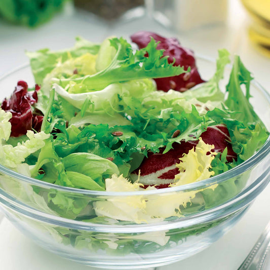 Mesclun-Salat - Mesclun - Gemüsegarten