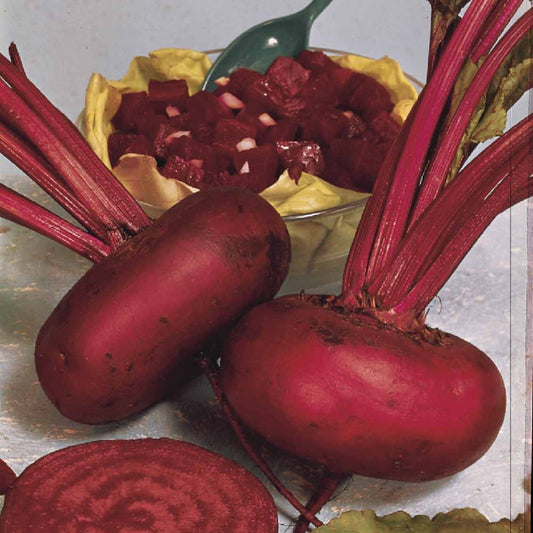 Schwarz Bete D'Egypte Bio - Bakker