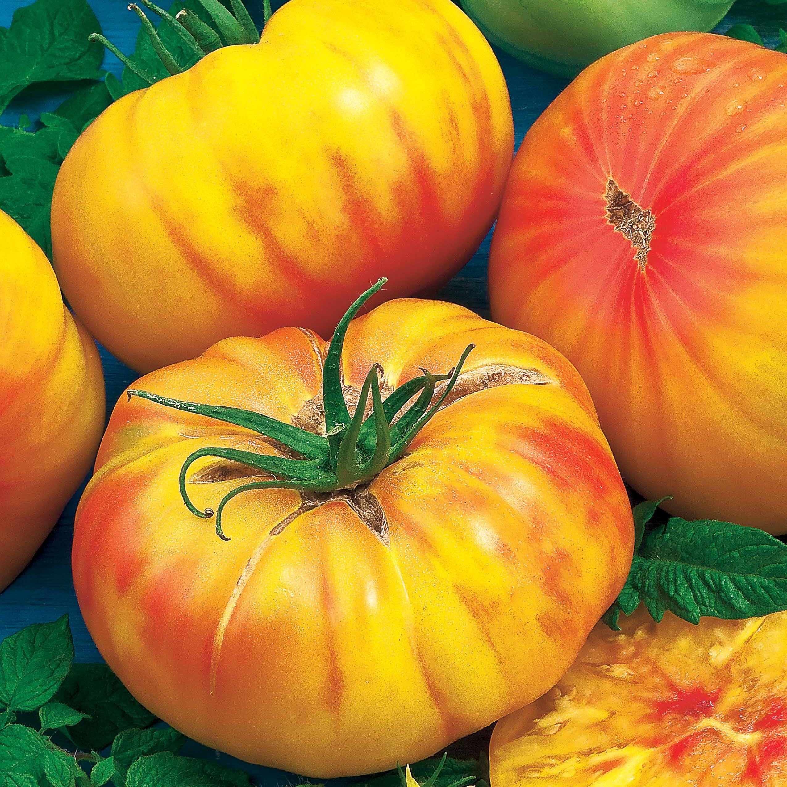 ananastomate saatgut Saatgut Fleischtomate Ananas - Solanum lycopersicum ananas