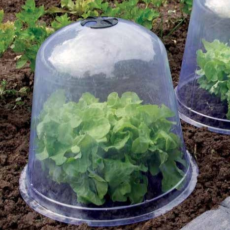 Treibglocken (x3) - - Bakker