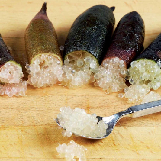 Kaviarlimette - Bakker