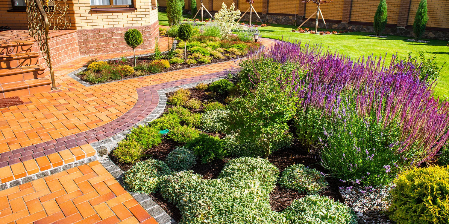 Geben Sie Ihrem Traumgarten Struktur bis zu 25% Rabatt!