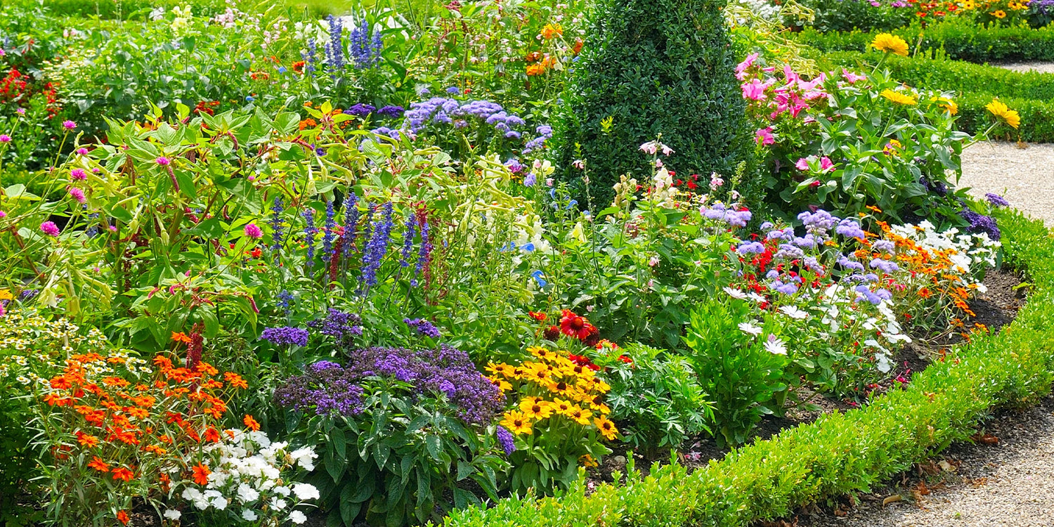 Farben, Aromen und Biodiversität: die Stars des Frühlings