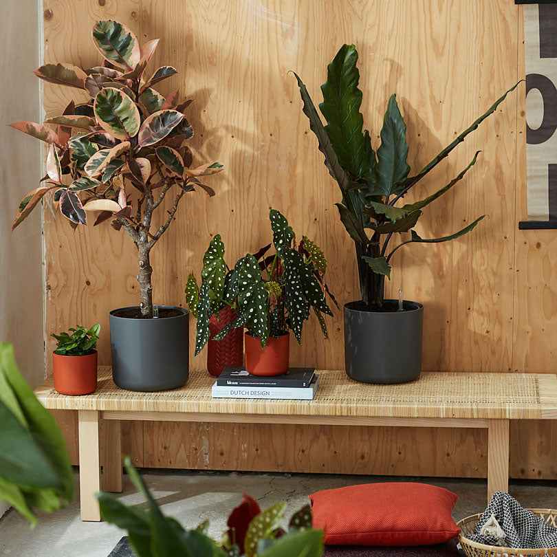 Verkauf Elho Blumentopf B.for soft rund anthrazit -