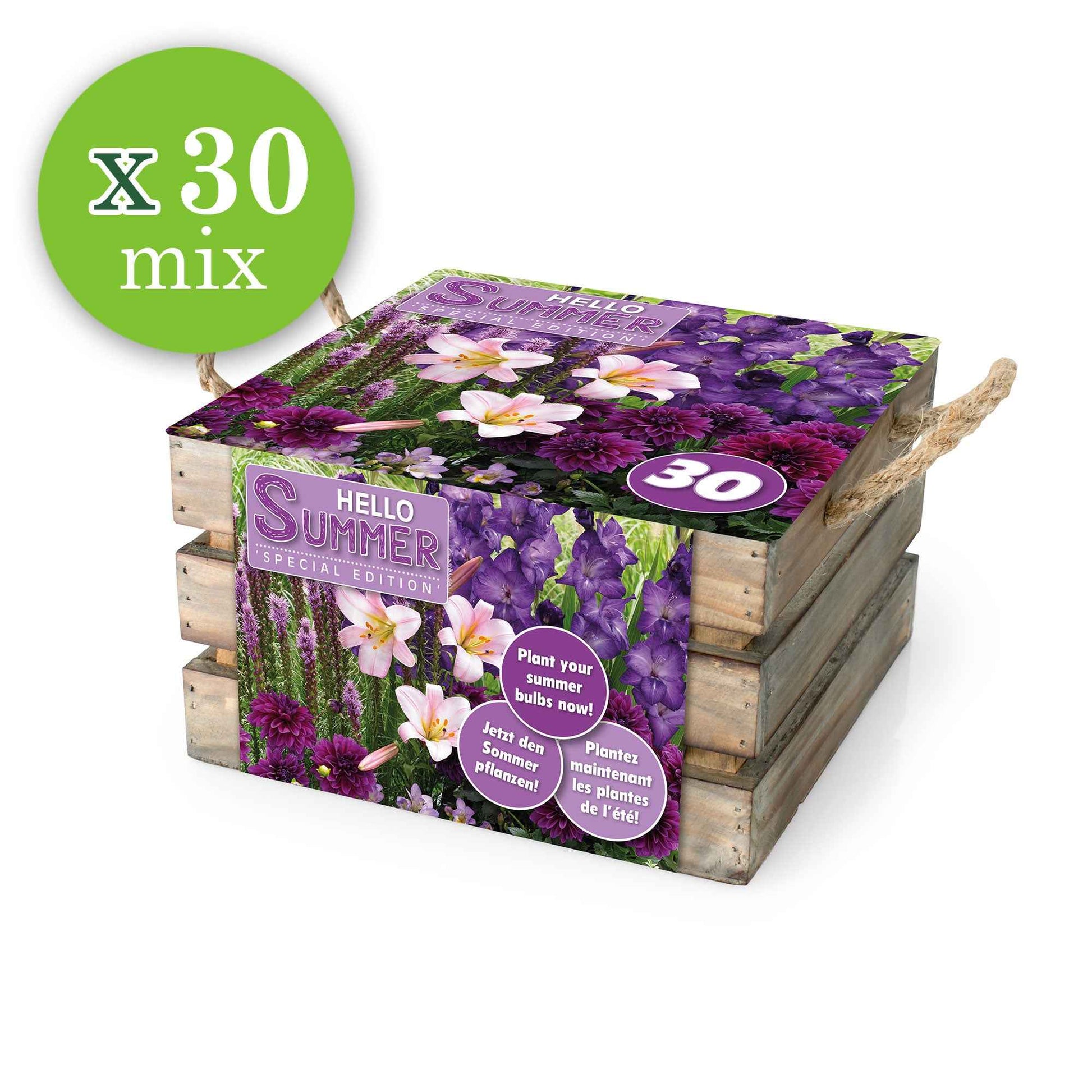 Blumenzwiebeln Mischung 'Hello Summer!' (x30) - Dahlia, lilium, gladiolus, liatris - Bakker