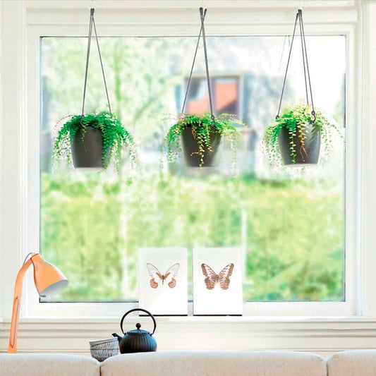 Elho Hängeschale Brussels rund anthrazit - Bakker