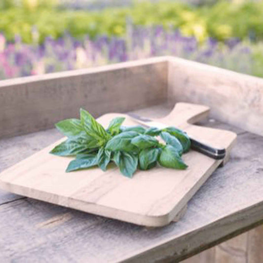 Basilikum 'Italiano Classico' - Bakker