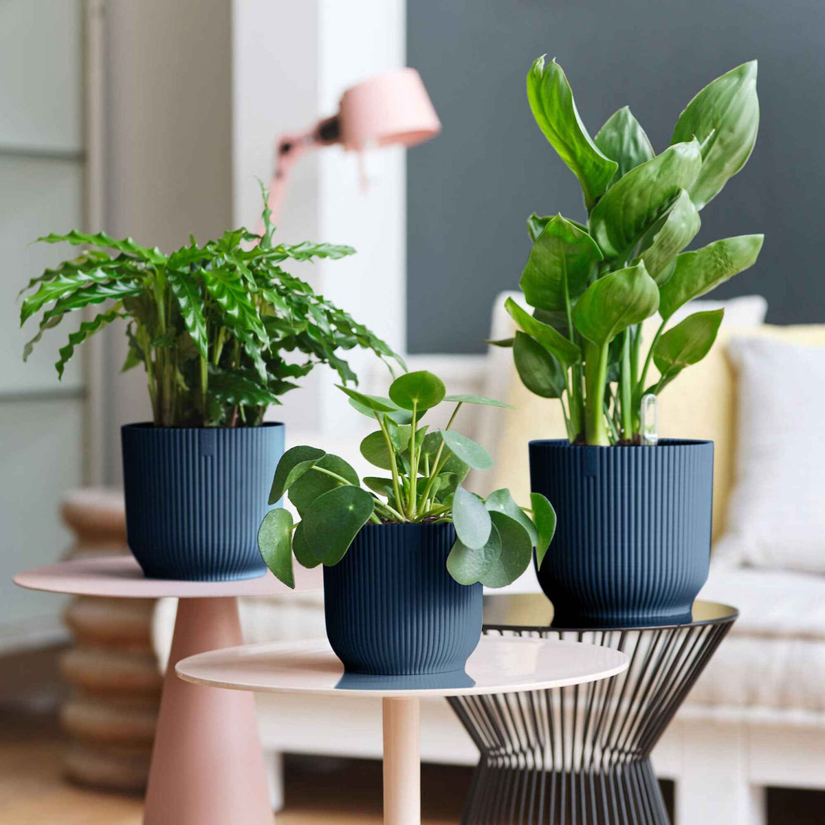 Elho Blumentopf Vibes Fold rund blau - Innentopf - Bakker