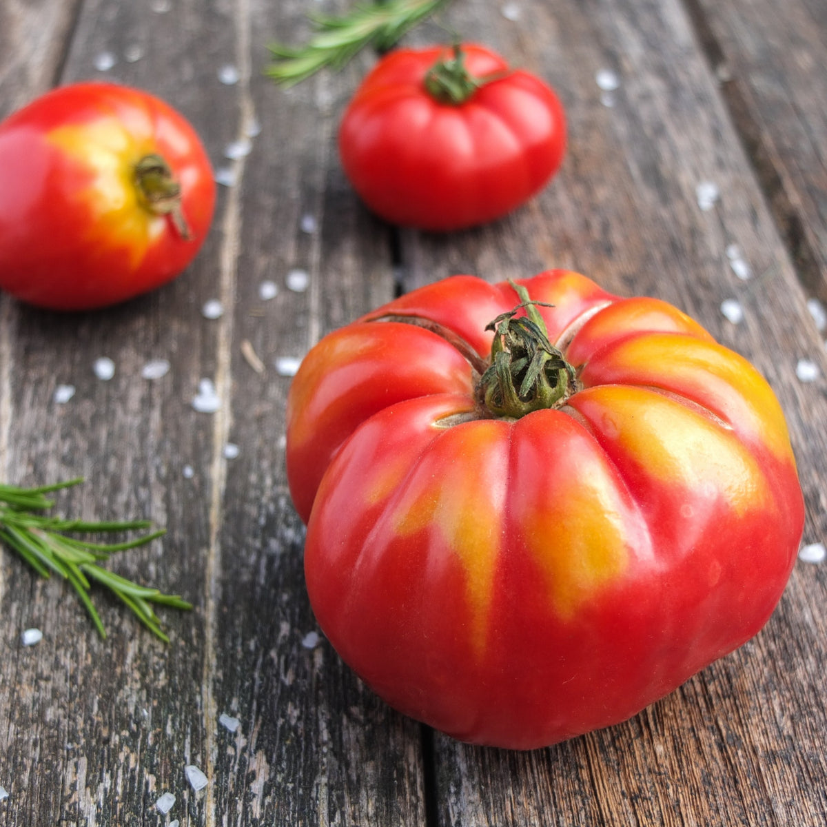 Fleischtomate Marmande - Solanum lycopersicum Marmande - Bakker