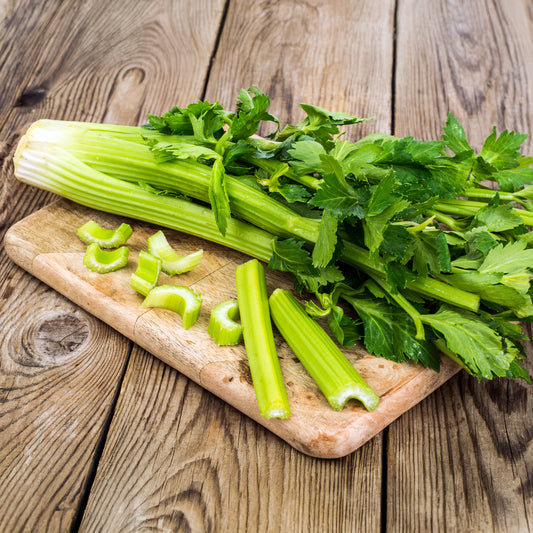 Staudensellerie - Bakker