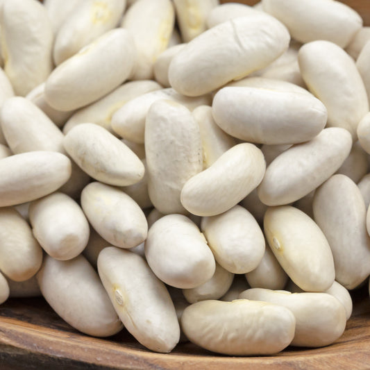 Mais-Stangenbohnen Tarbais - Bakker