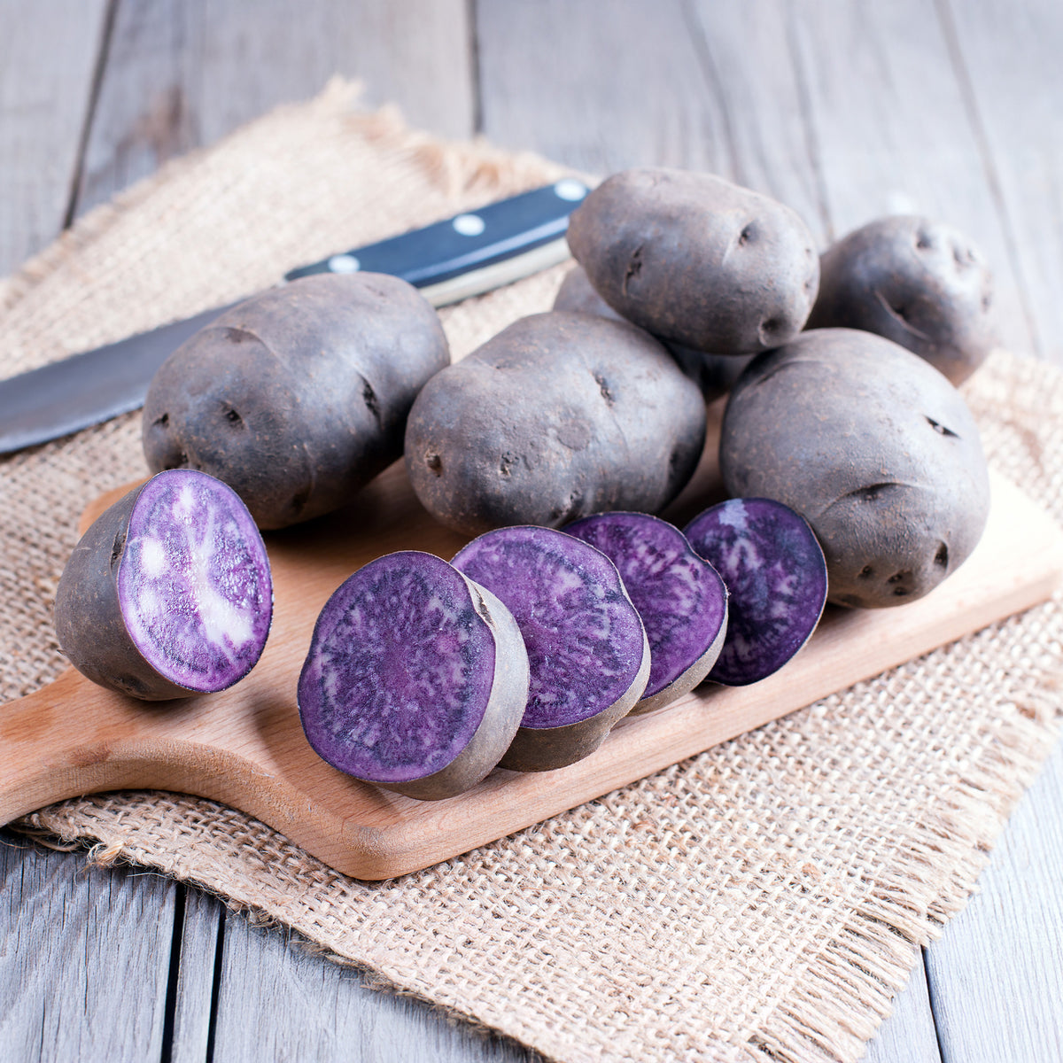 Solanum tuberosum bleue d'artois ® (bleue de la man - Kartoffel ‘Bleue d’Artois®’ (x10) - Kartoffelpflanzen