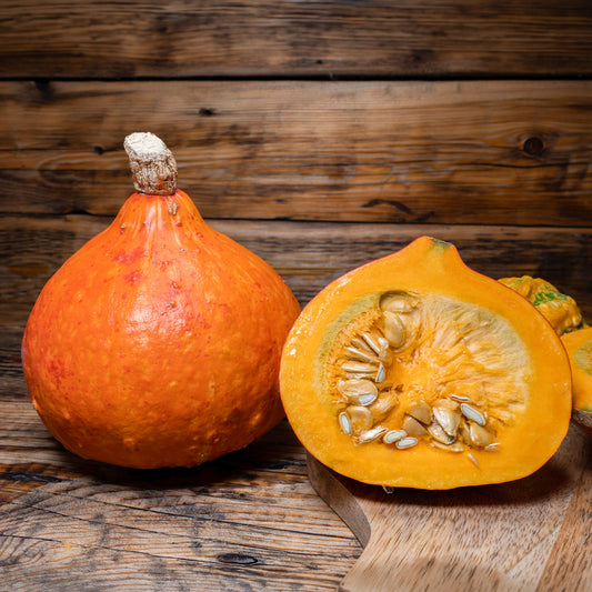 Kürbis Uchiki Kuri Bio - Bakker