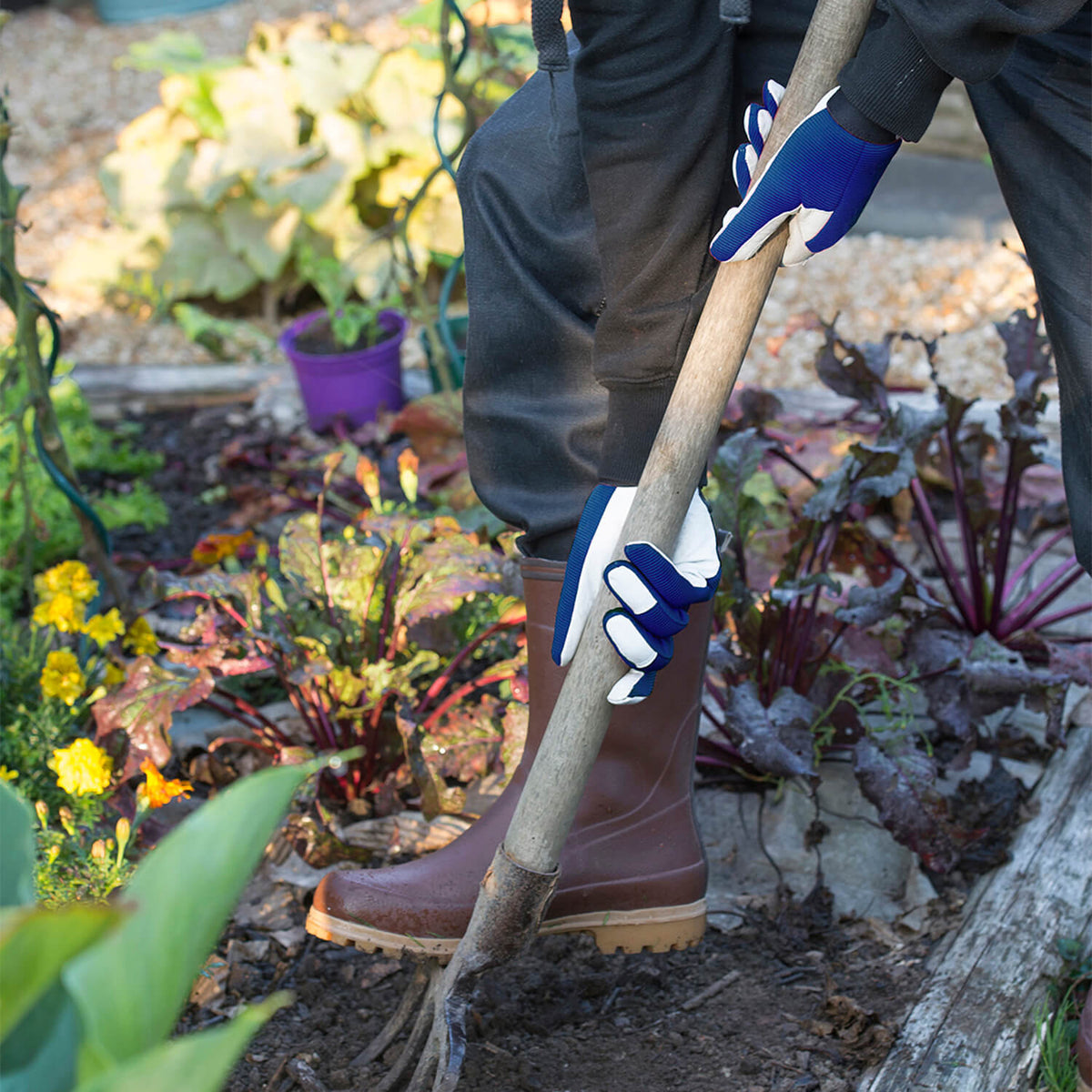 - Leder-Gartenhandschuhe marineblau - Ausrüstung für Gärtner