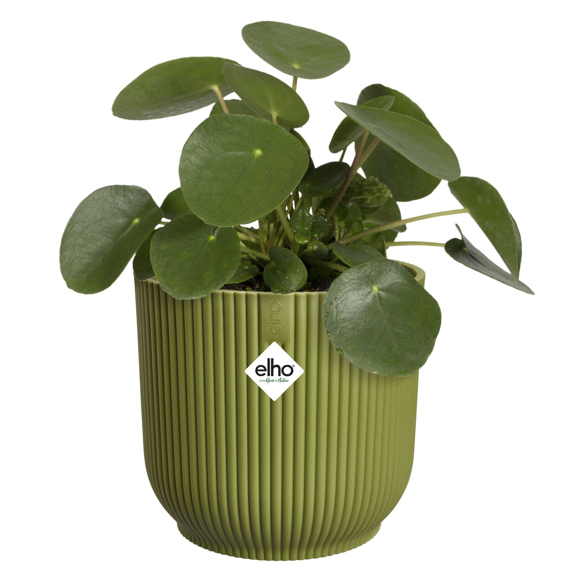Elho Blumentopf Vibes fold rund ferngrün - - Bakker
