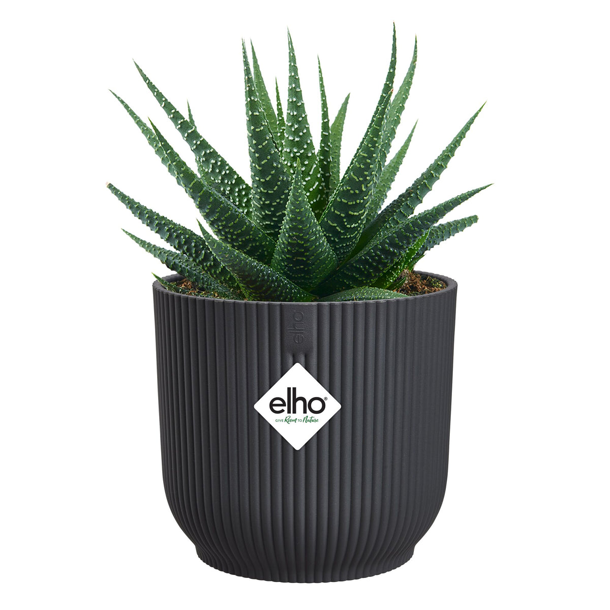 Elho Blumentopf Vibes fold rund anthrazit - - Bakker