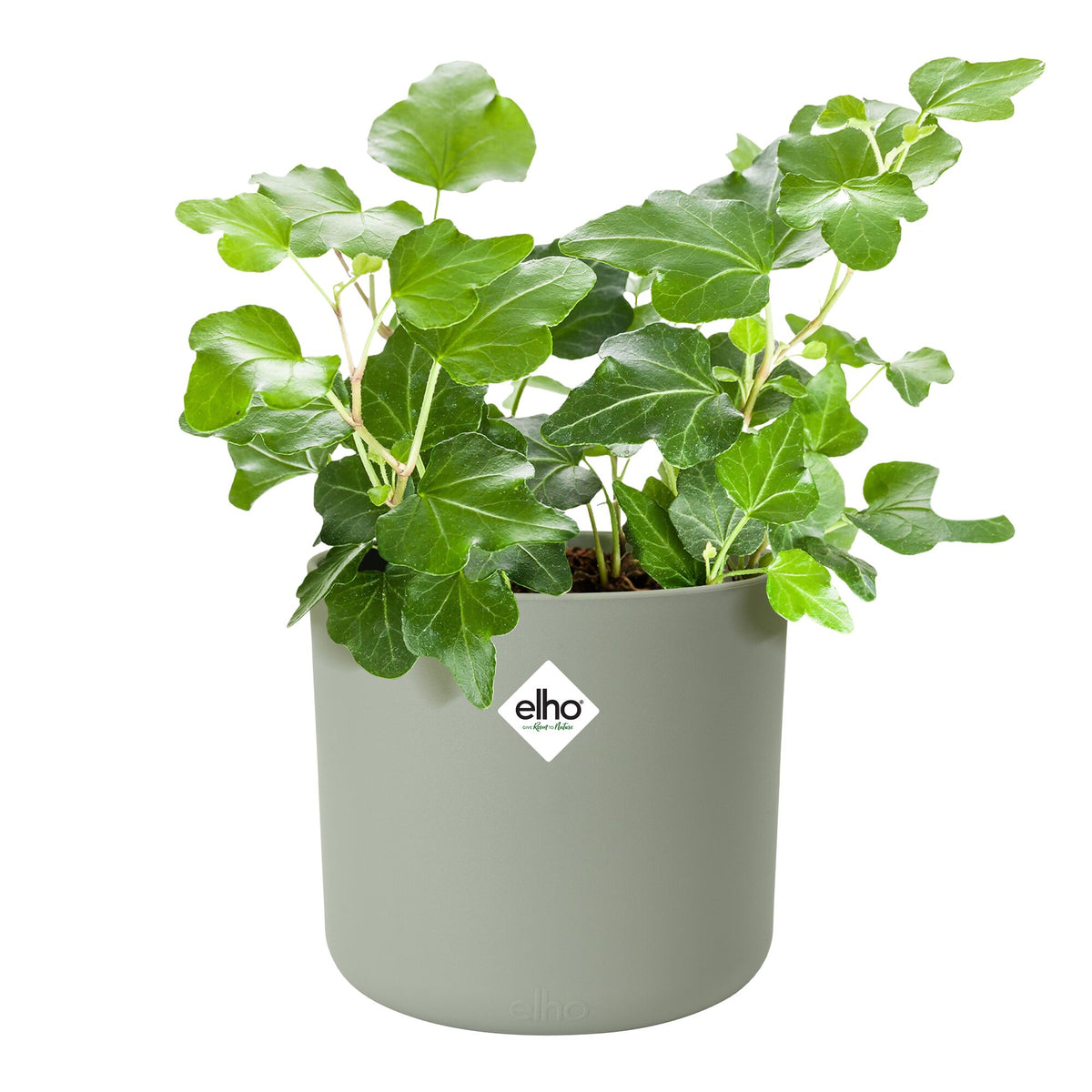 Elho Blumentopf B for soft rund steingrün - - Bakker