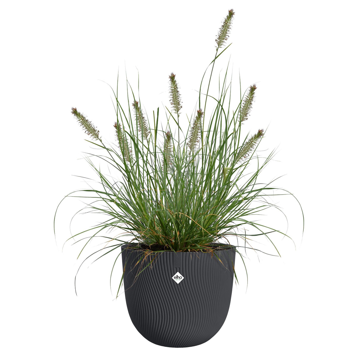 Blumentopf Sereh rund santhrazit - - Bakker
