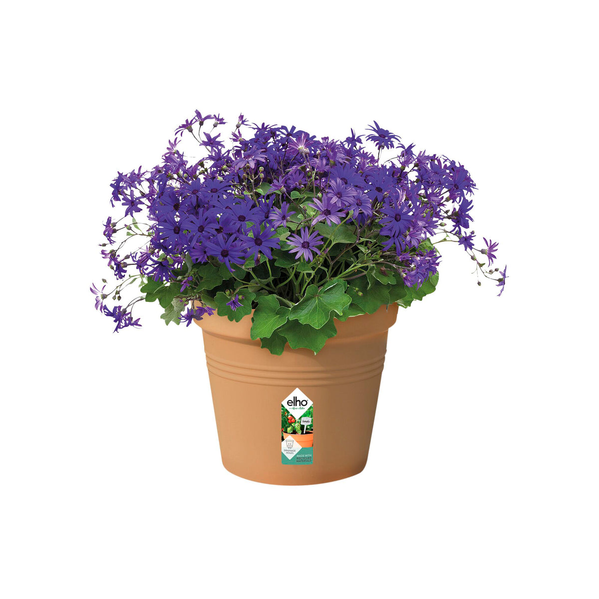 Außenblumentöpfe - Anzuchttopf Green Basics Mild Terra ELHO -