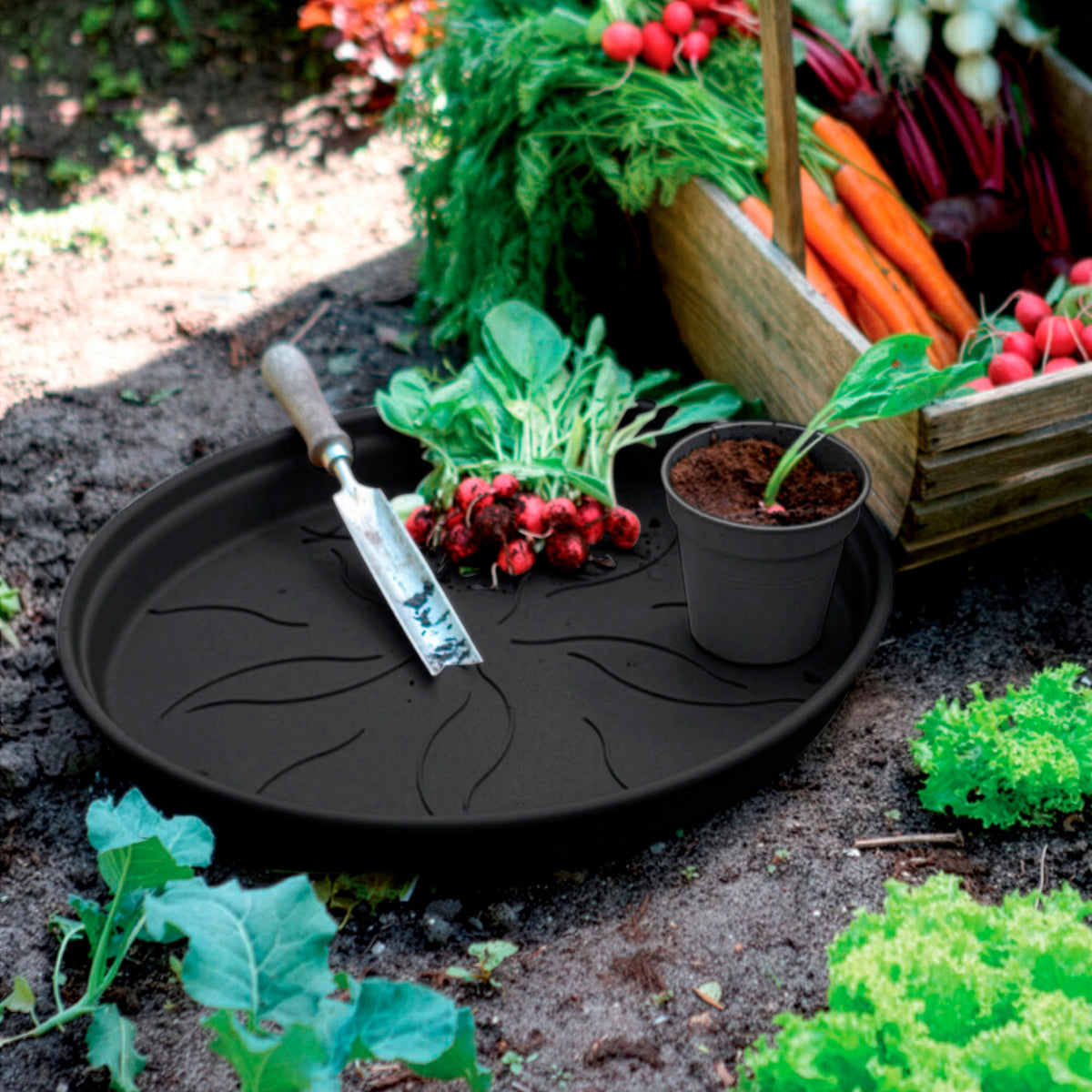 Untersetzer Green Basics Living Schwarz ELHO - - Bakker