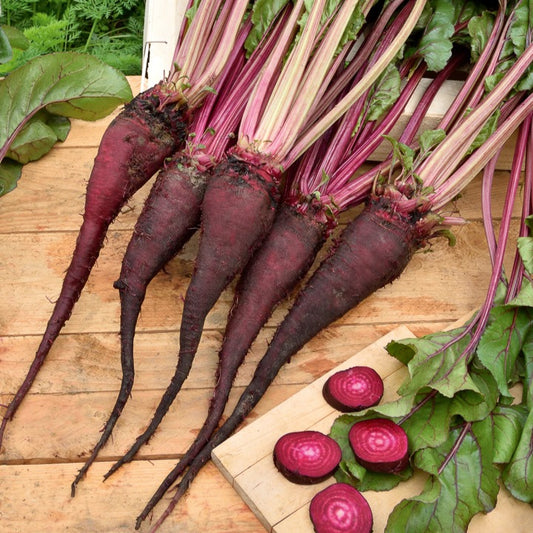 Rote Bete Krötchen - Bakker