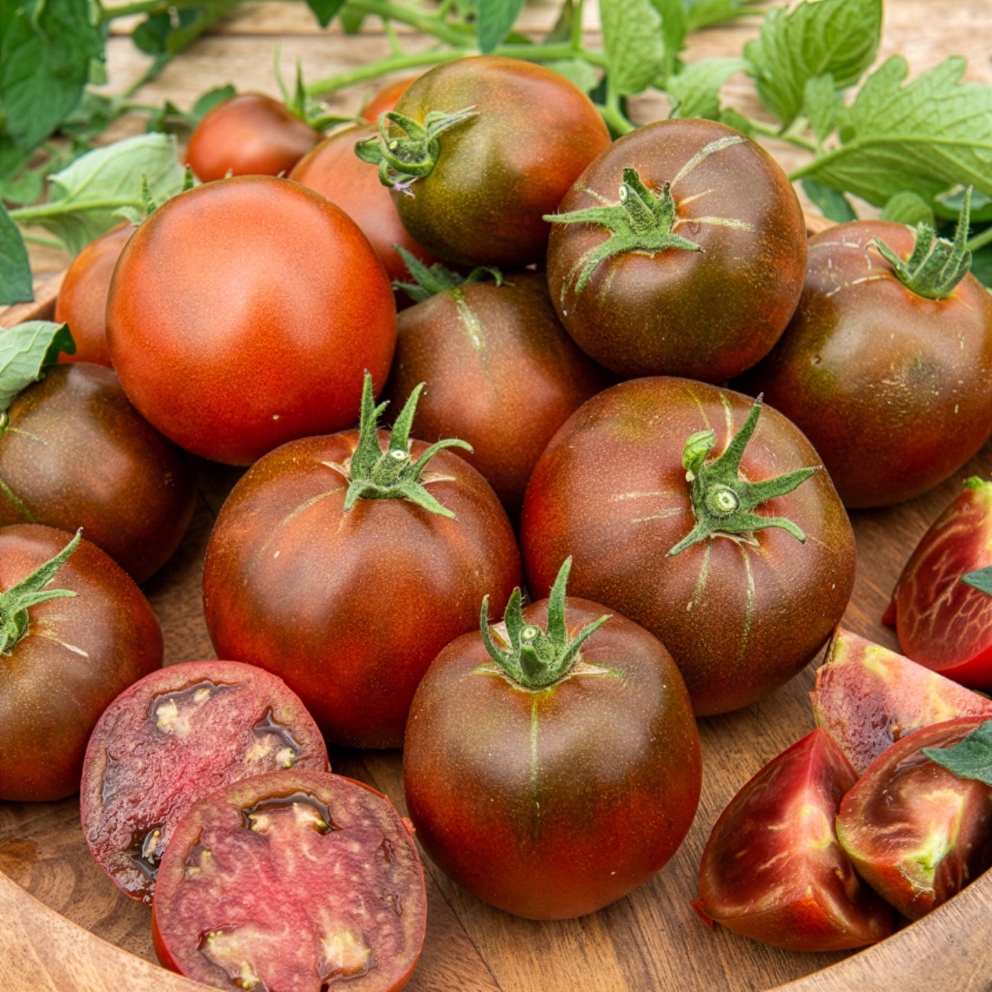 Saatgut Schwarze Fleischtomate 'Noire Russe' - Solanum lycopersicum noire  russe