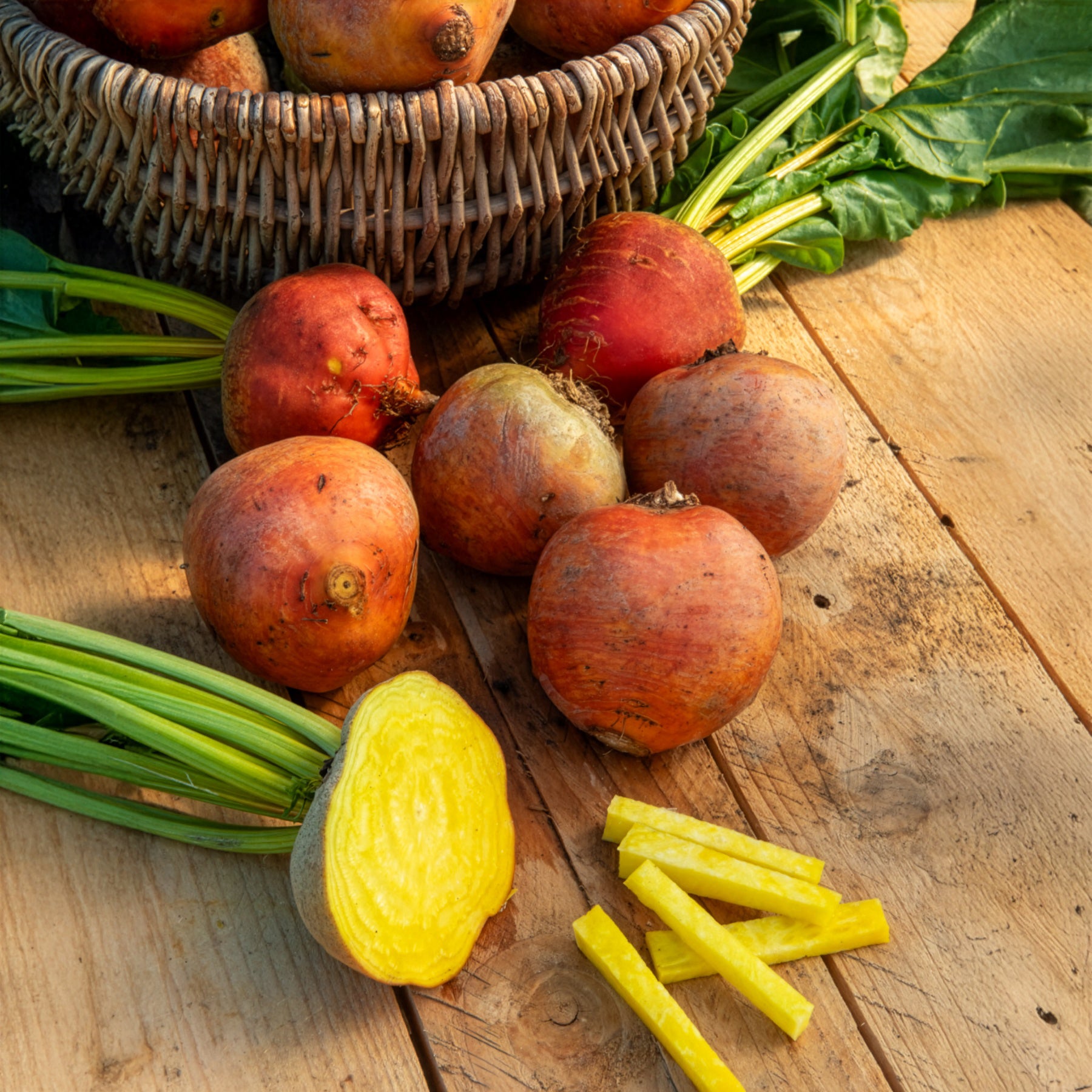 Saatgut Gelbe Bete Burpees Golden - Beta vulgaris Burpees Golden