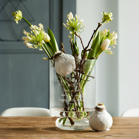 Wachs Amaryllis Magic White - Bakker