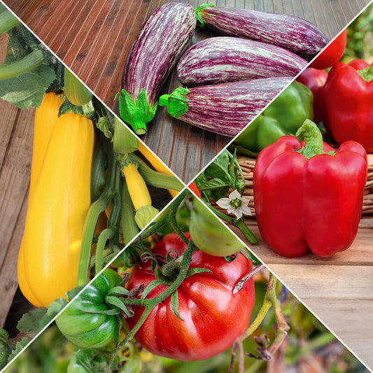 Sonnengemüse Mischung - Bakker