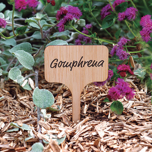 Pflanzenetiketten (x15) - Bakker