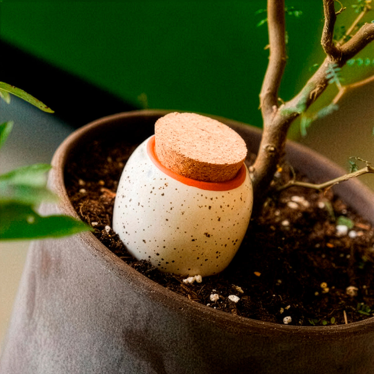 Olla – Gekörntes Weiß - - Bakker