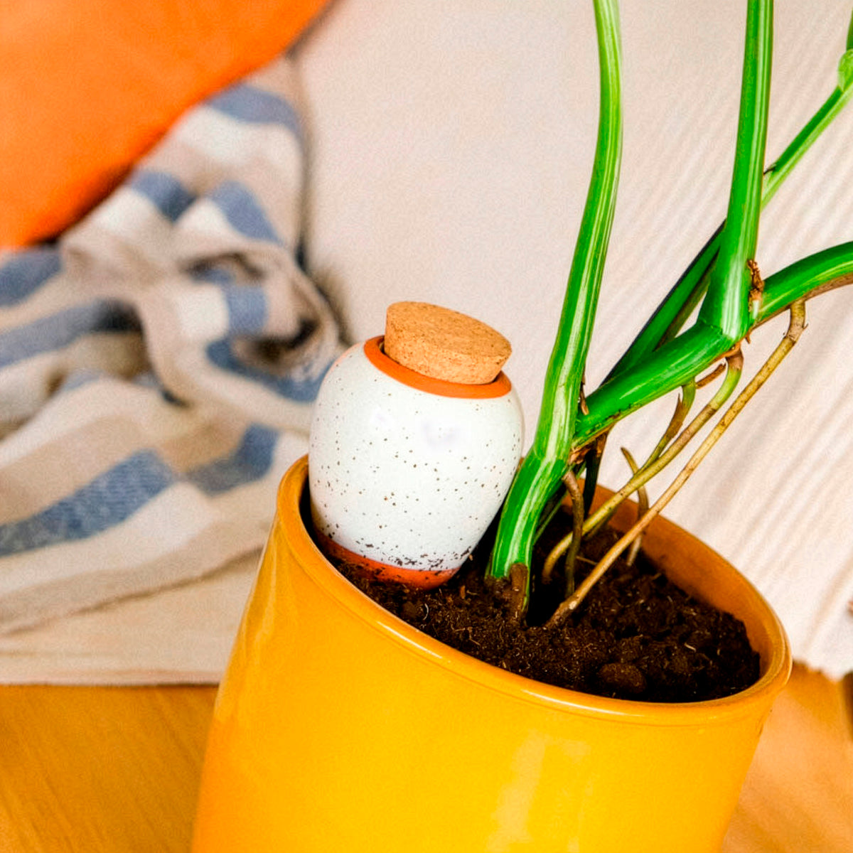 Gartenbewässerung - Olla – Gekörntes Weiß -