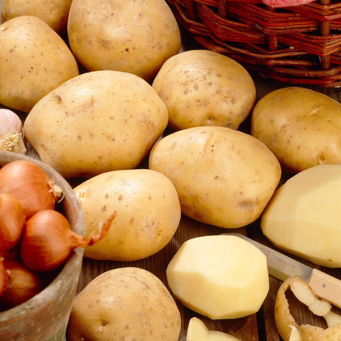 Solanum tuberosum bintje - Kartoffel Bintje - Kartoffelpflanzen