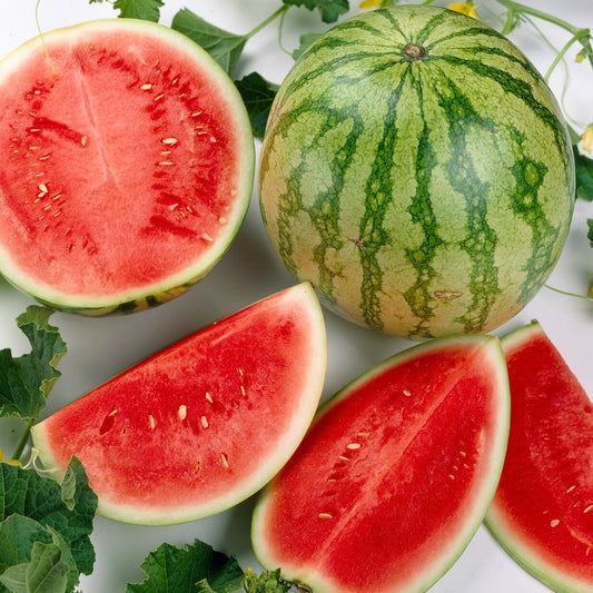 Wassermelone Crimson Sweet Bio - Bakker