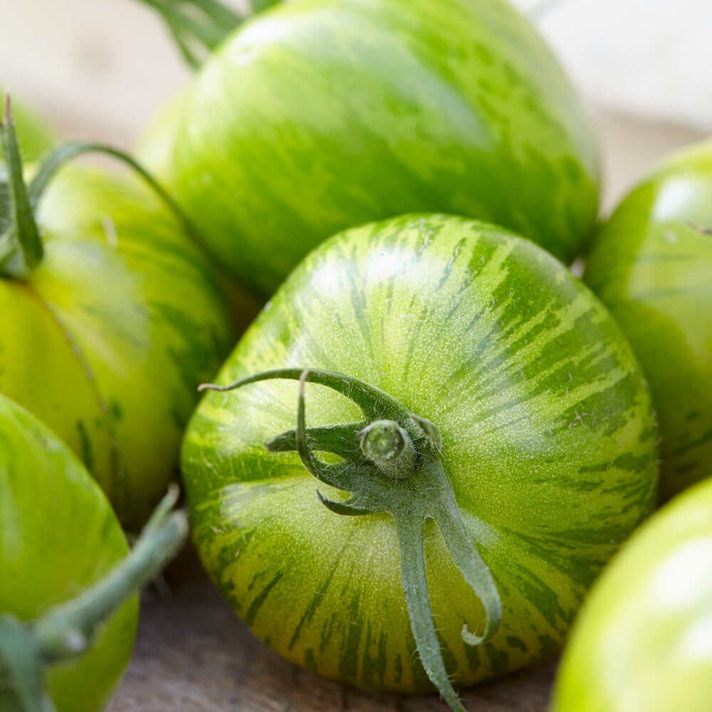 Saatgut Tomate 'Green Zebra' - Lycopersicon lycopersicum Green Zebra