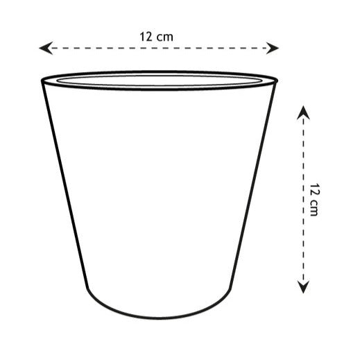 - Zink-Eimer - Pflege und Material
