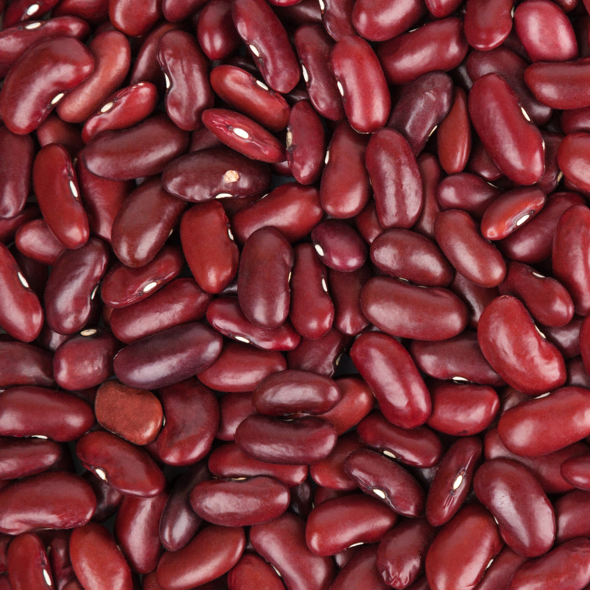 Rote Bohnen - Bakker
