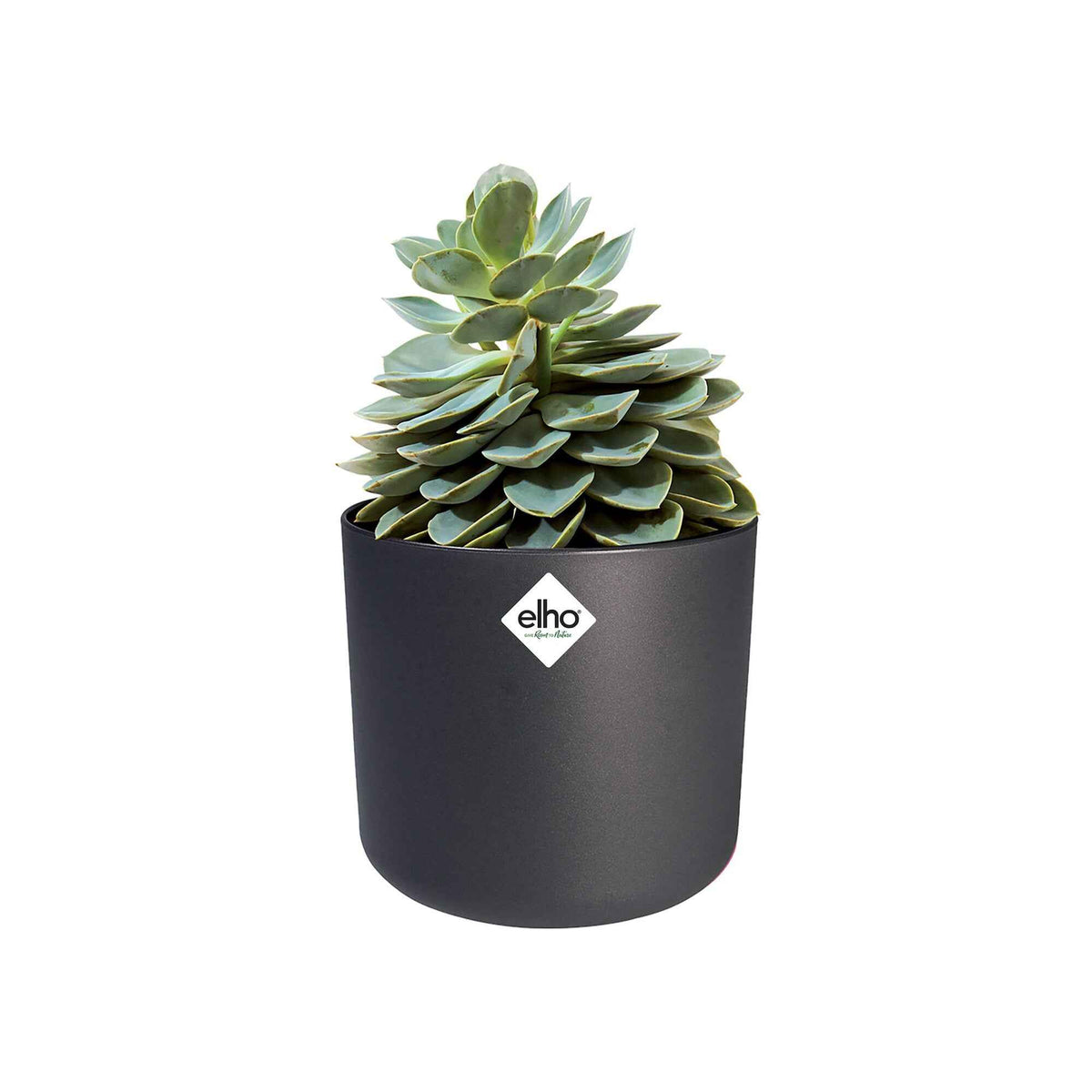 Elho Blumentopf B.for soft rund anthrazit - - Bakker