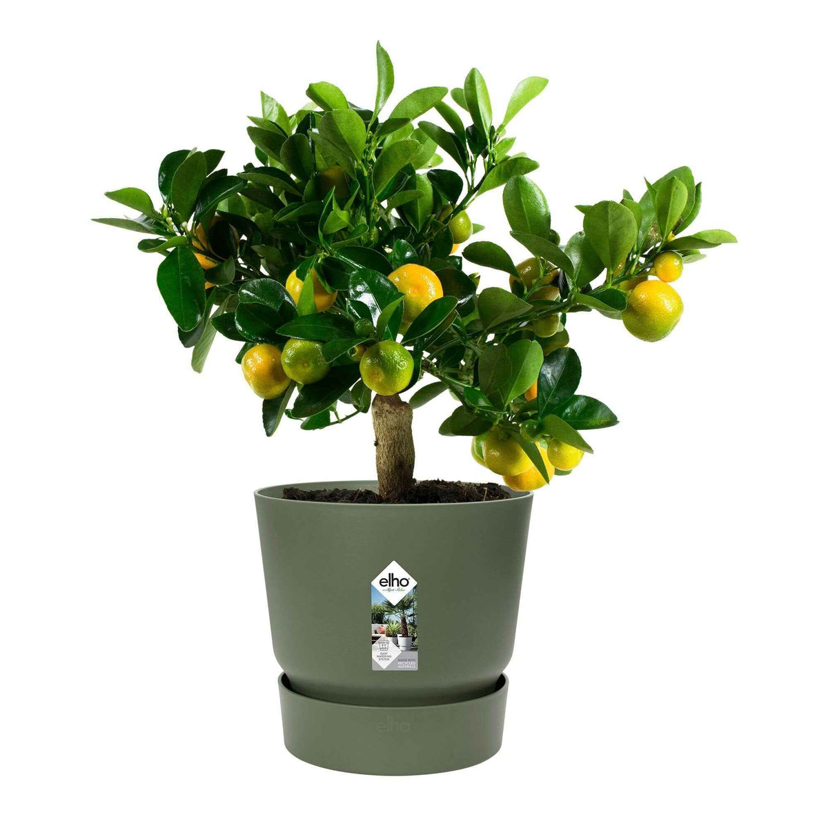 Pflanzgefäße und Blumenkästen - Elho Blumentopf 'Greenville Leaf Green' -