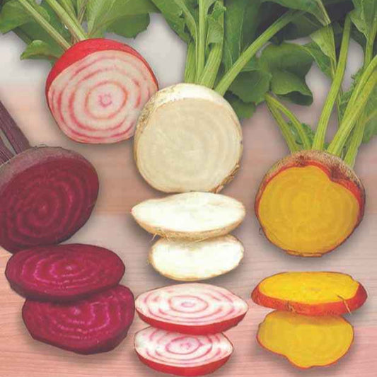 Rote Bete Hula Hoop Mix - Bakker