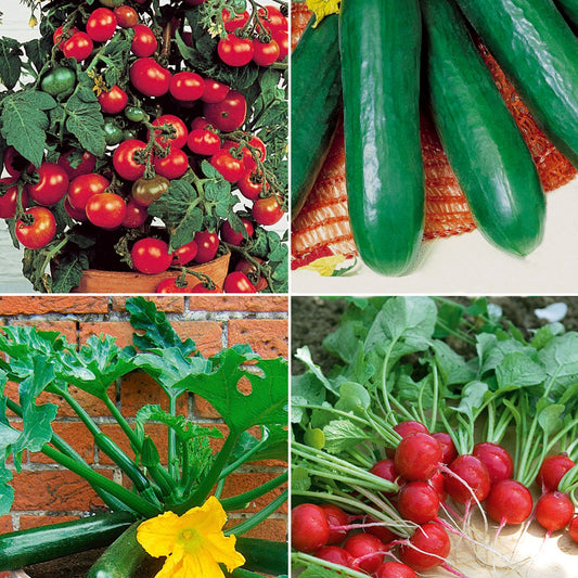 Sammlung von Gemüse für den Balkon - Collection pour balcon - Gemüsegarten