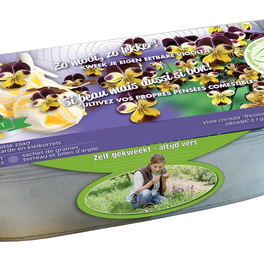 Stiefmütterchen Samen Bio - Viola cornuta