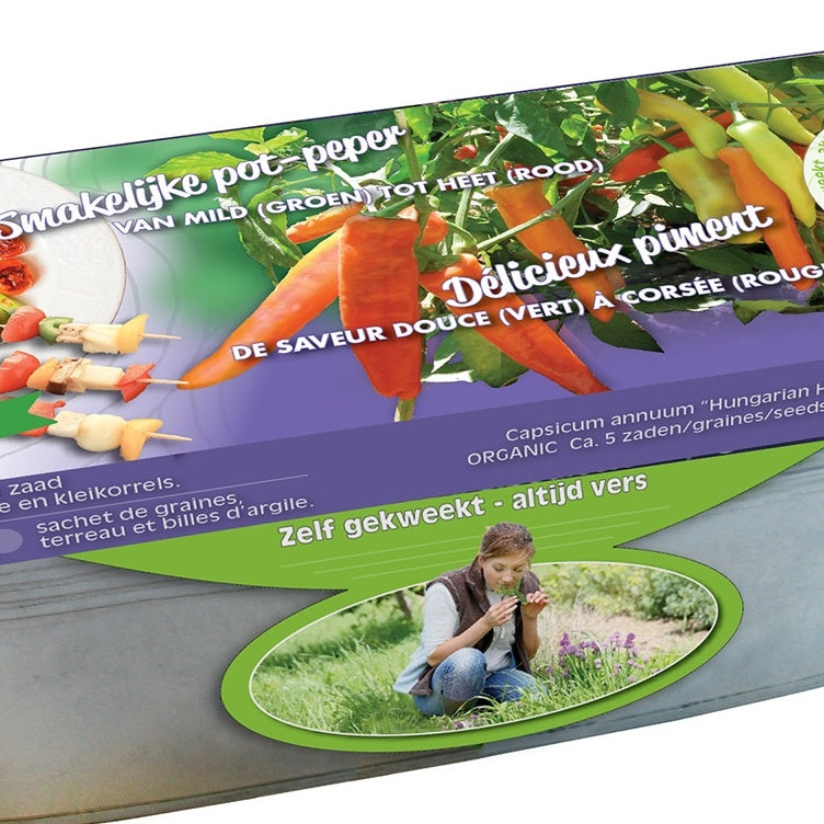 Paprika 'Hungarian Hot Wax' Bio mit Zink-Pflanzgefäß - Capsicum annuum